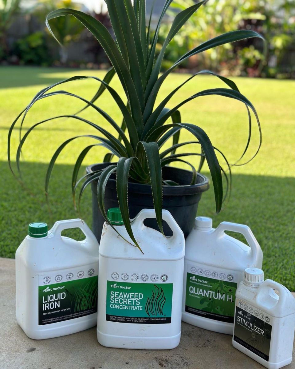 Gallery Plant Doctor health boost